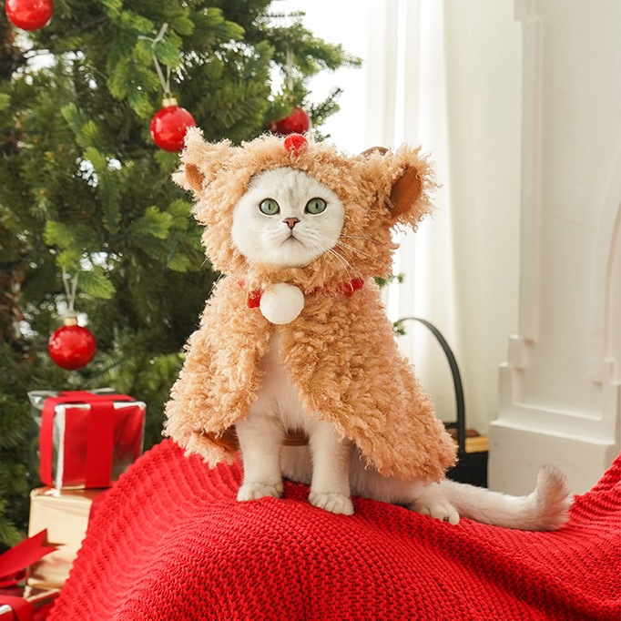 O1CN017javkR2It9NrVvKUI_2216646659343-0-cib