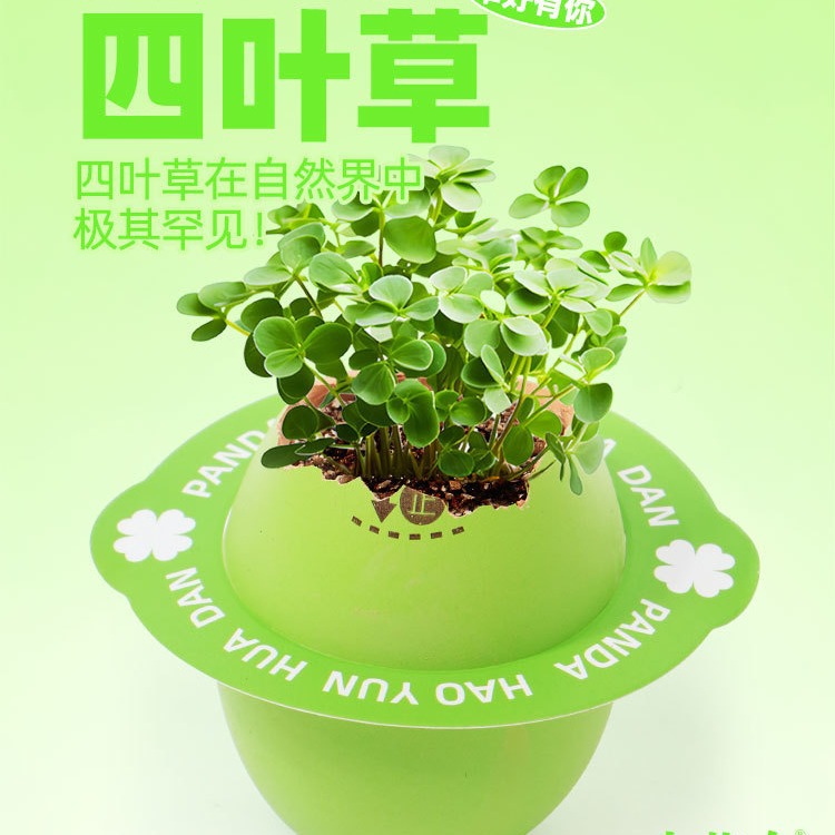 O1CN01Pr64O31S6H5SY8KuA_2200645202197-0-cib