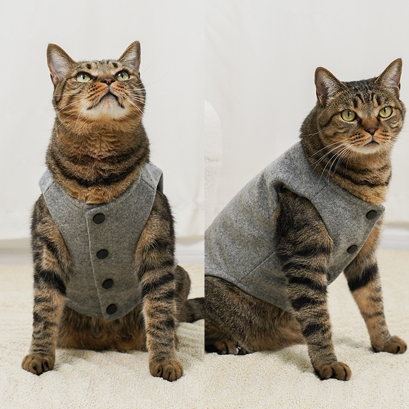 O1CN01SrGPIp2It9NsGtDSb_2216646659343-0-cib