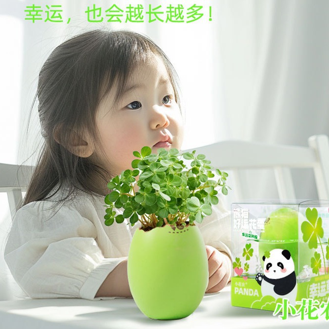 O1CN01cfwIGI1S6H5OvdPN3_2200645202197-0-cib