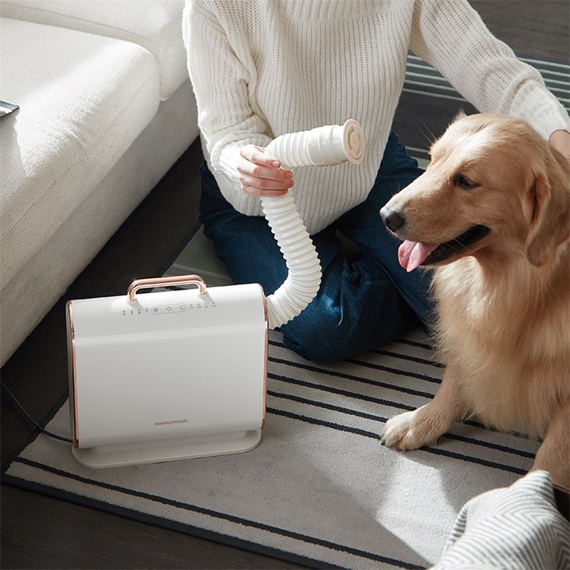 O1CN01eacTZY23gaByRt9z6_2215887387285-0-cib